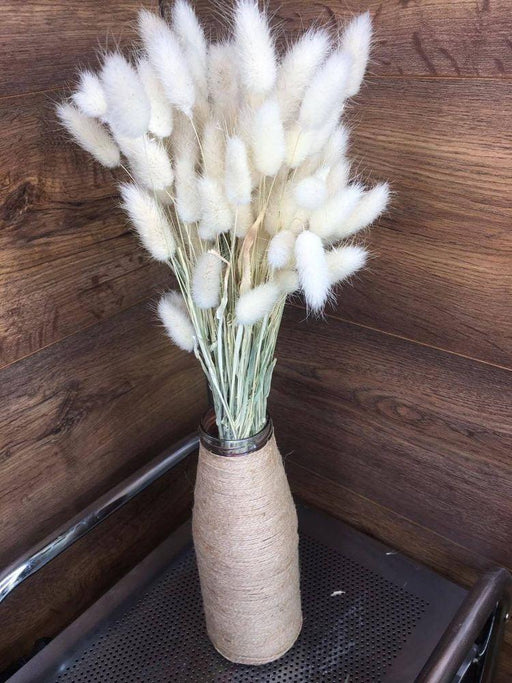 Buy Dried Flowers & Fragrance - White Bunny Tails Naturally Dried Home and Office Decor Set of 30 Stems by Arte Casa on IKIRU online store