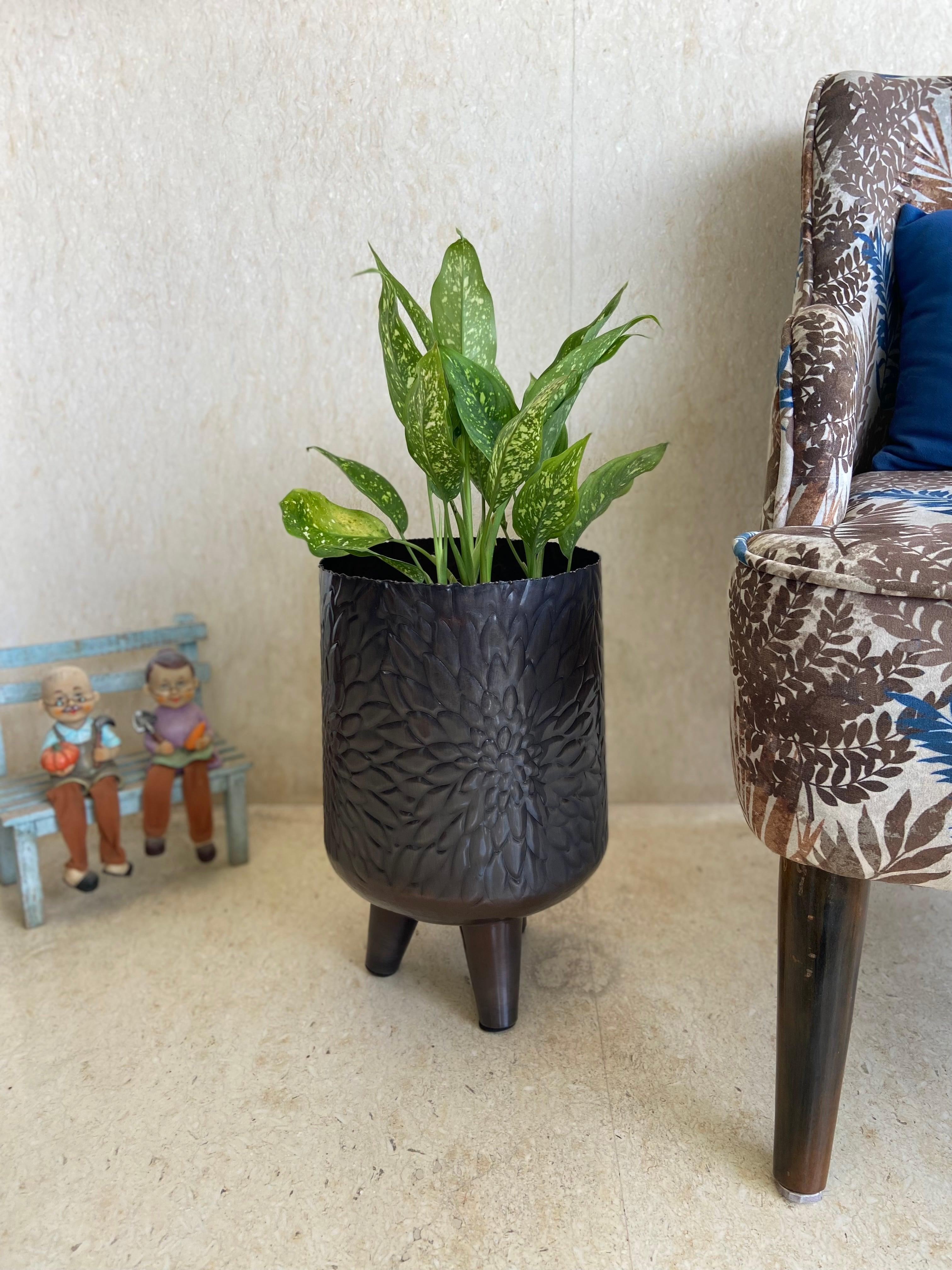 floor standing plant pot Brown Metal Footed Hand Carved Floor Planter