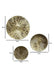 Buy Wall Art - Gold Foil Motif Hammered Decorative Wall Plates Set Of 3 For Decor by Amaya Decors on IKIRU online store