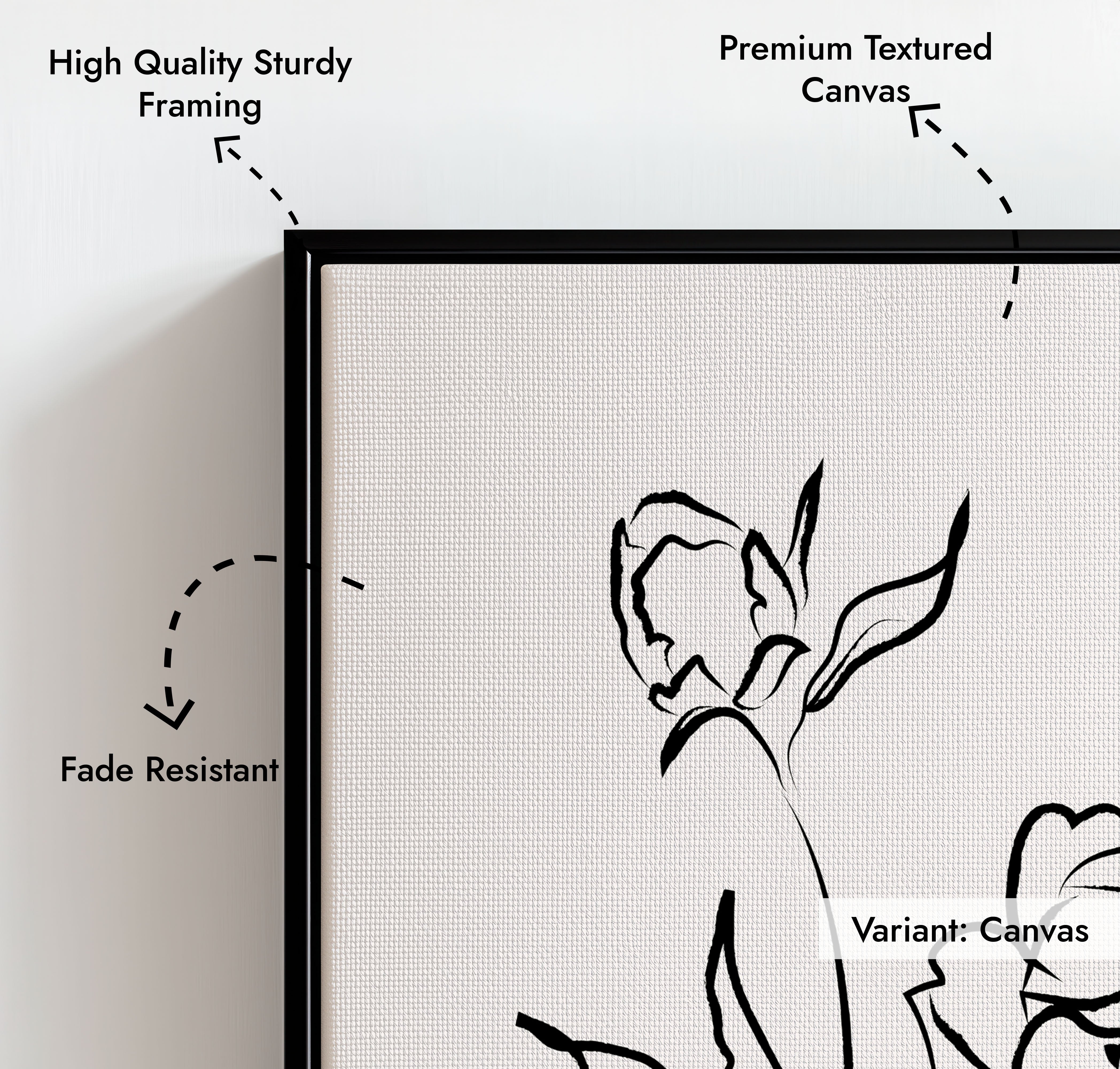 Pivoines Wall Painting