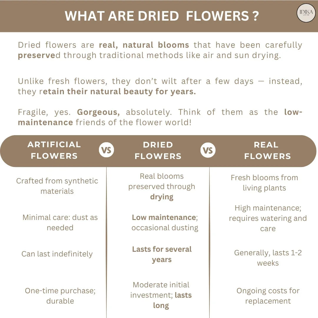 Straw Flowers | Multicolor