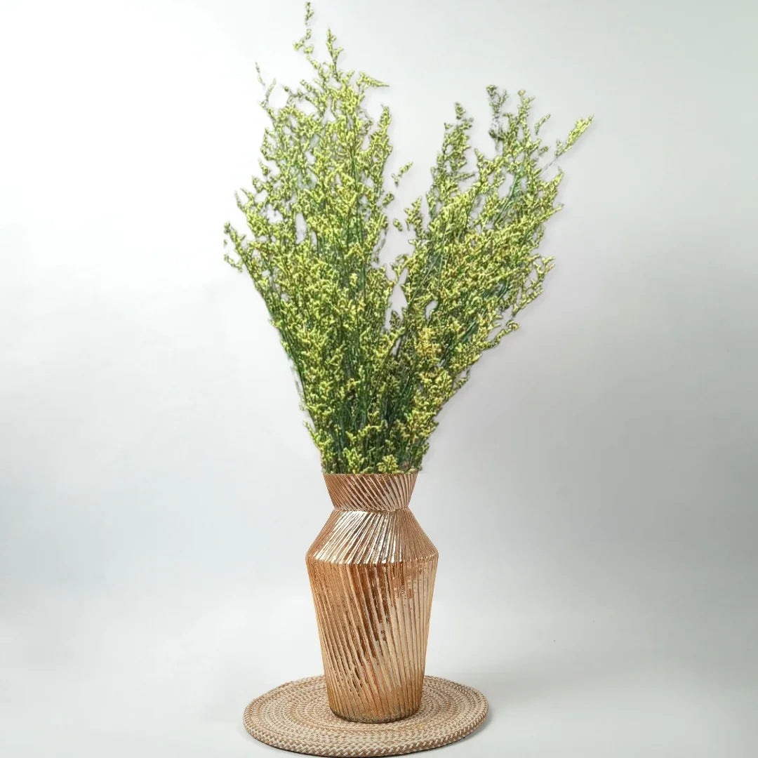 Limonium | Green