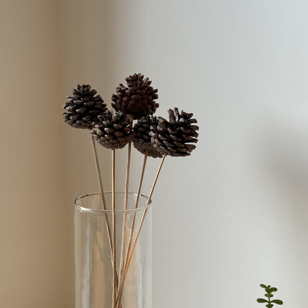 Pine Cone - Natural | Set of 5 sticks