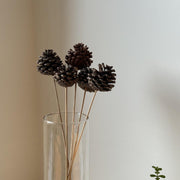 Pine Cone - Natural | Set of 5 sticks