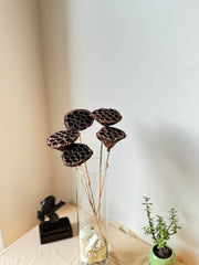 Lotus Pod - Natural | Set of 5 Sticks