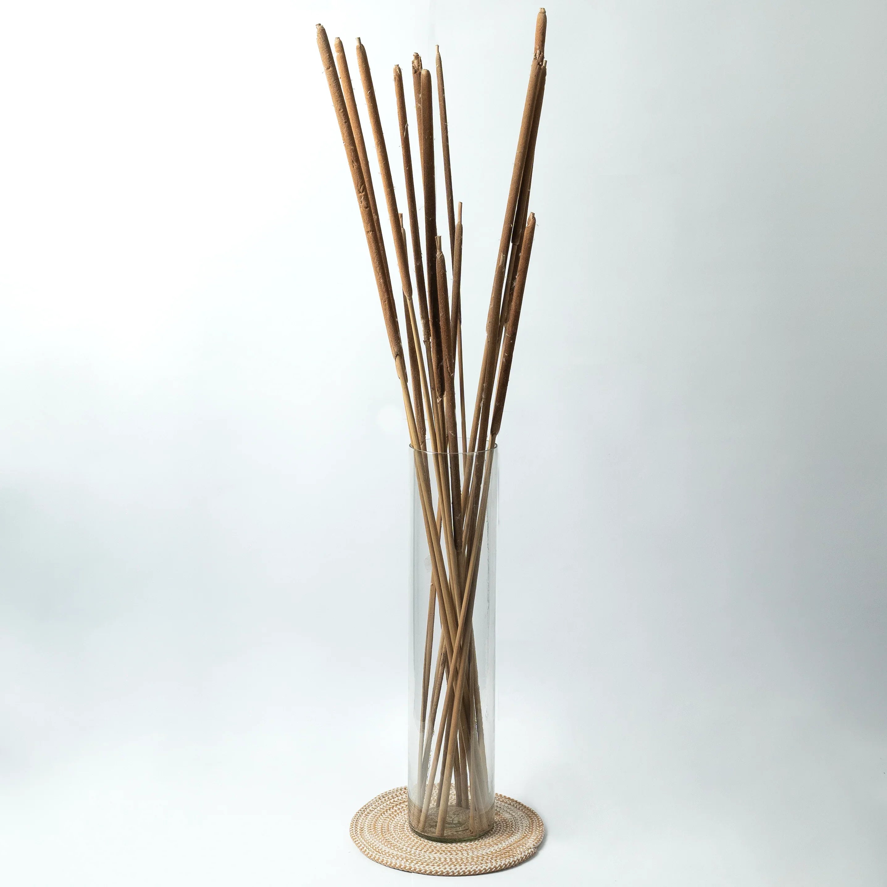 Cattail - Natural | Set of 5 Sticks