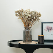 Daisy Dried flower | White | Set of 50 sticks