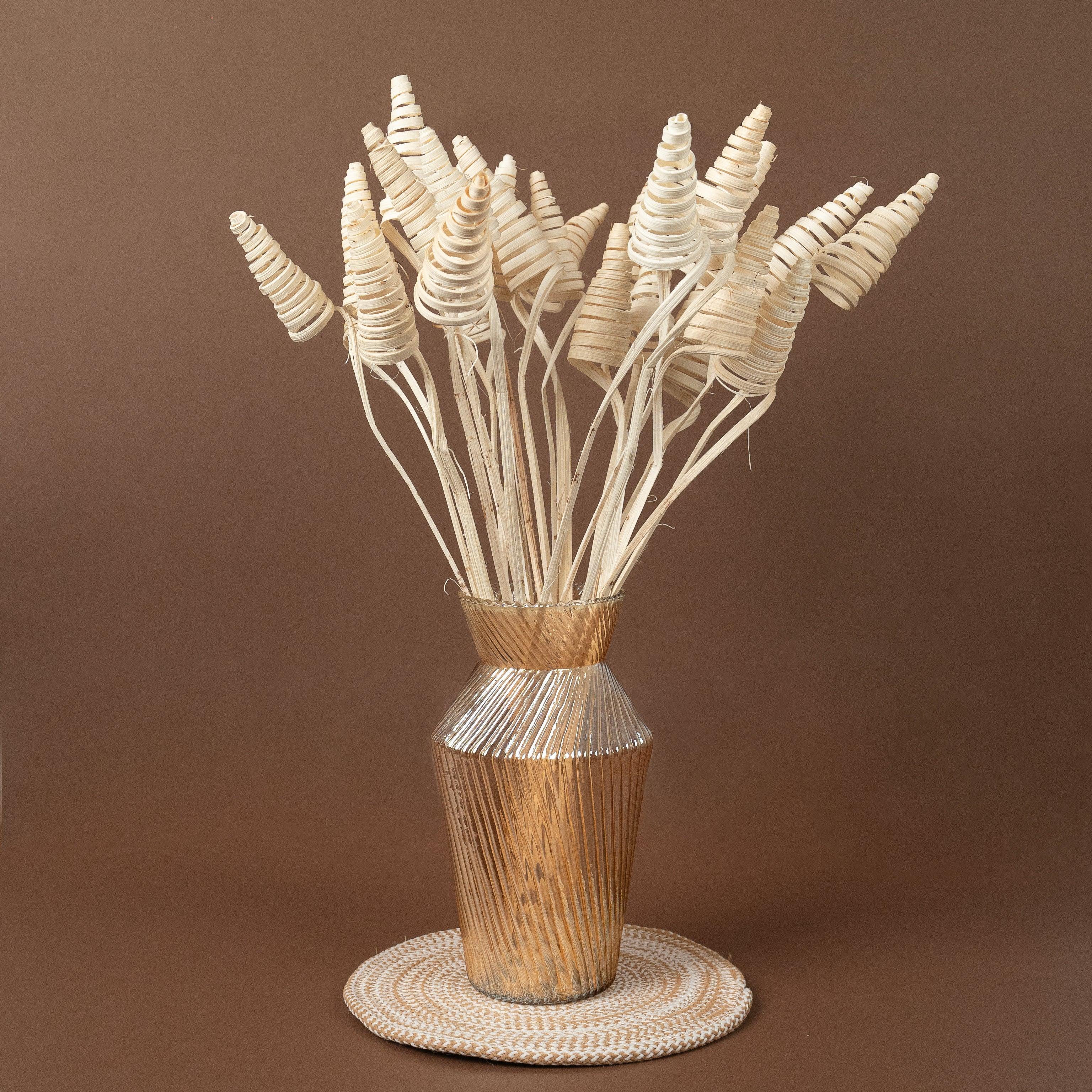 Cane Cone Sticks | Set of 5 sticks