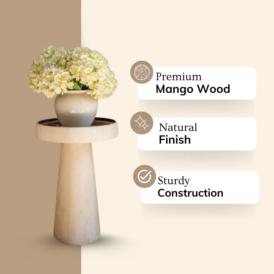 Spazio Mango Wood Side Table  for Living Room | Corner Table | Premium End Table