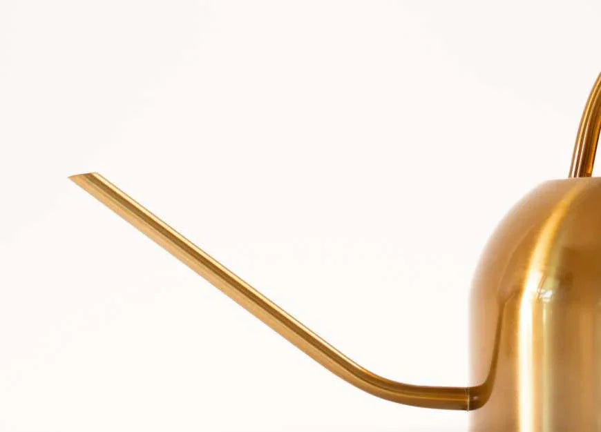 Stainless Steel Watering Can 1.2L | Garden Sprinkler Can Indoor & Outdoor Plant Care