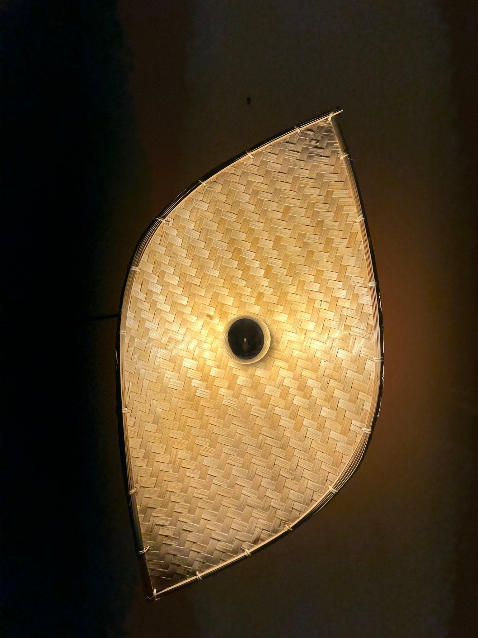 Bamboo Curve Wall Light