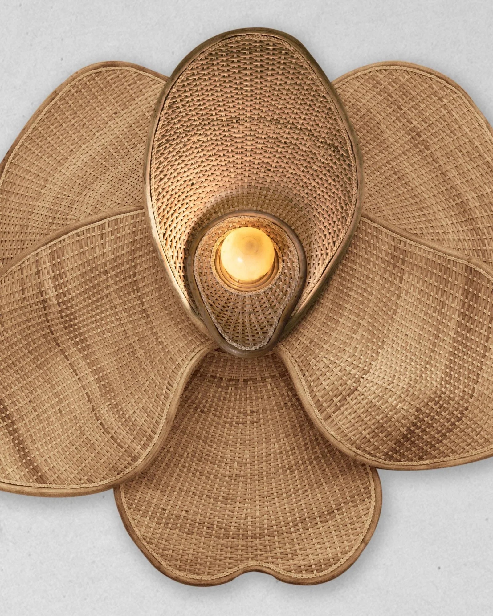 Orchid | Pendant Lamp