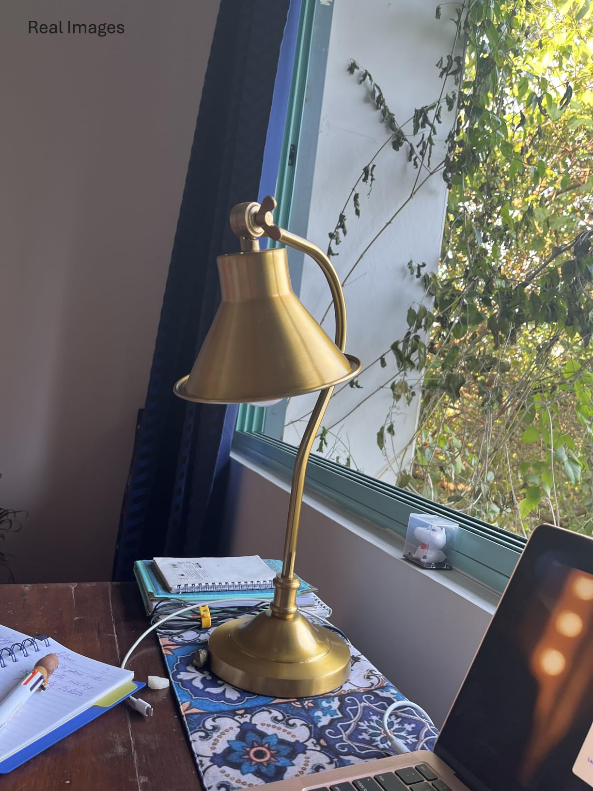 Study Desk Office Reading Curved Table Lamp Brass Antique Finish with Adjustable Head Shade