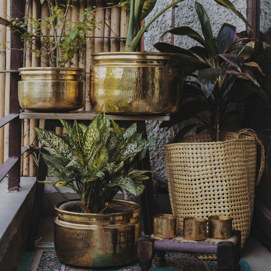 Brass Planters - Small