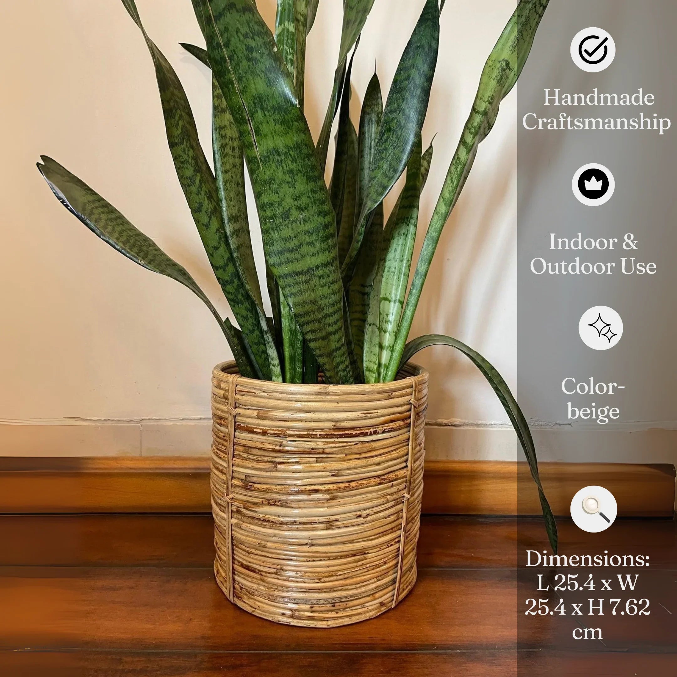 Handmade Planter Stand| Spiral Designer Cane Planter| Plant Pot for Living Room & Balcony- Pack of 1