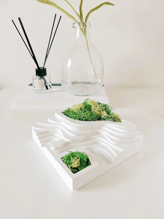 Architecture Planter | Concrete