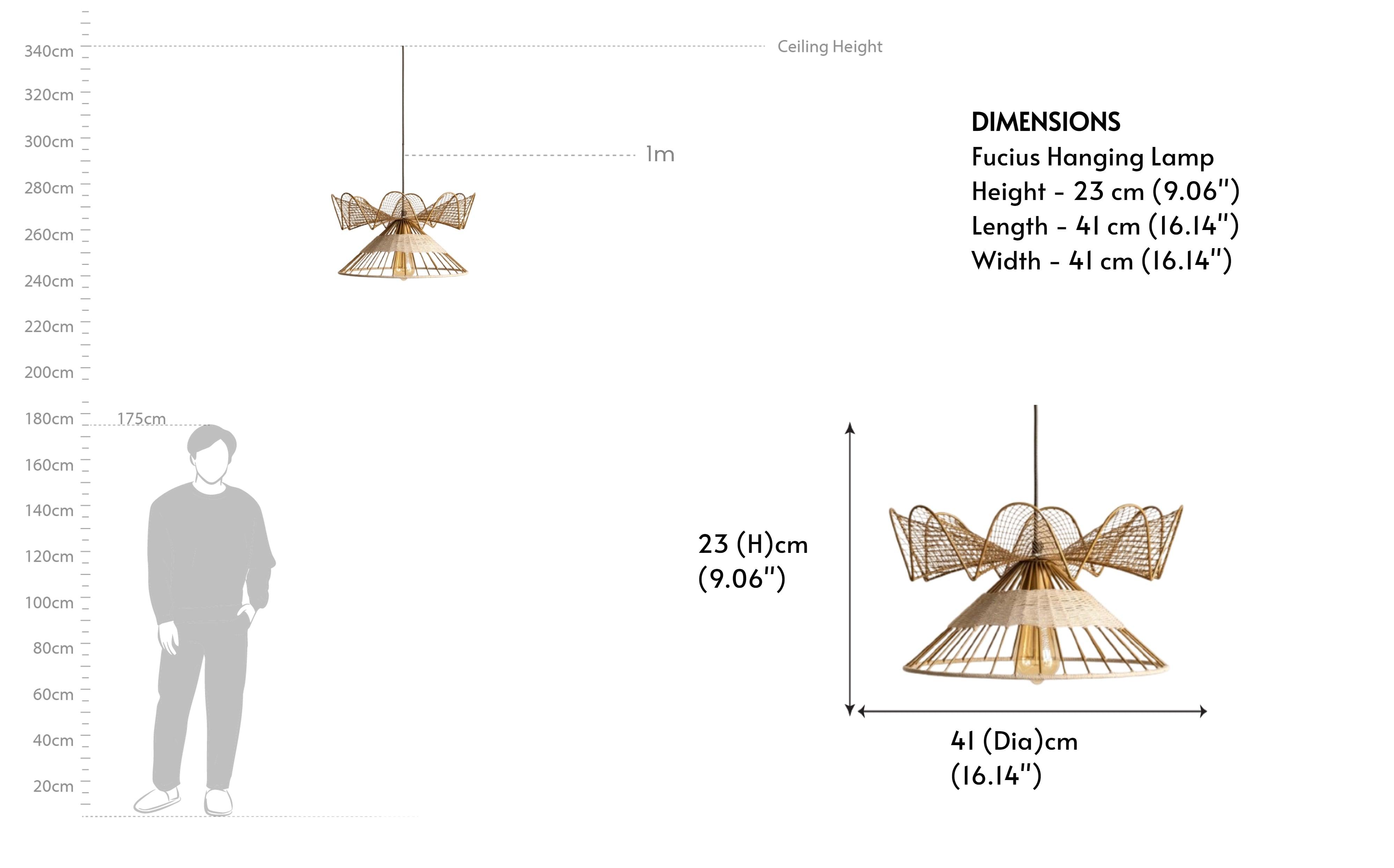 Fucius Ceiling Hanging Light Lamp | Pendant Lamp for Living Room | Decorative Light for Home