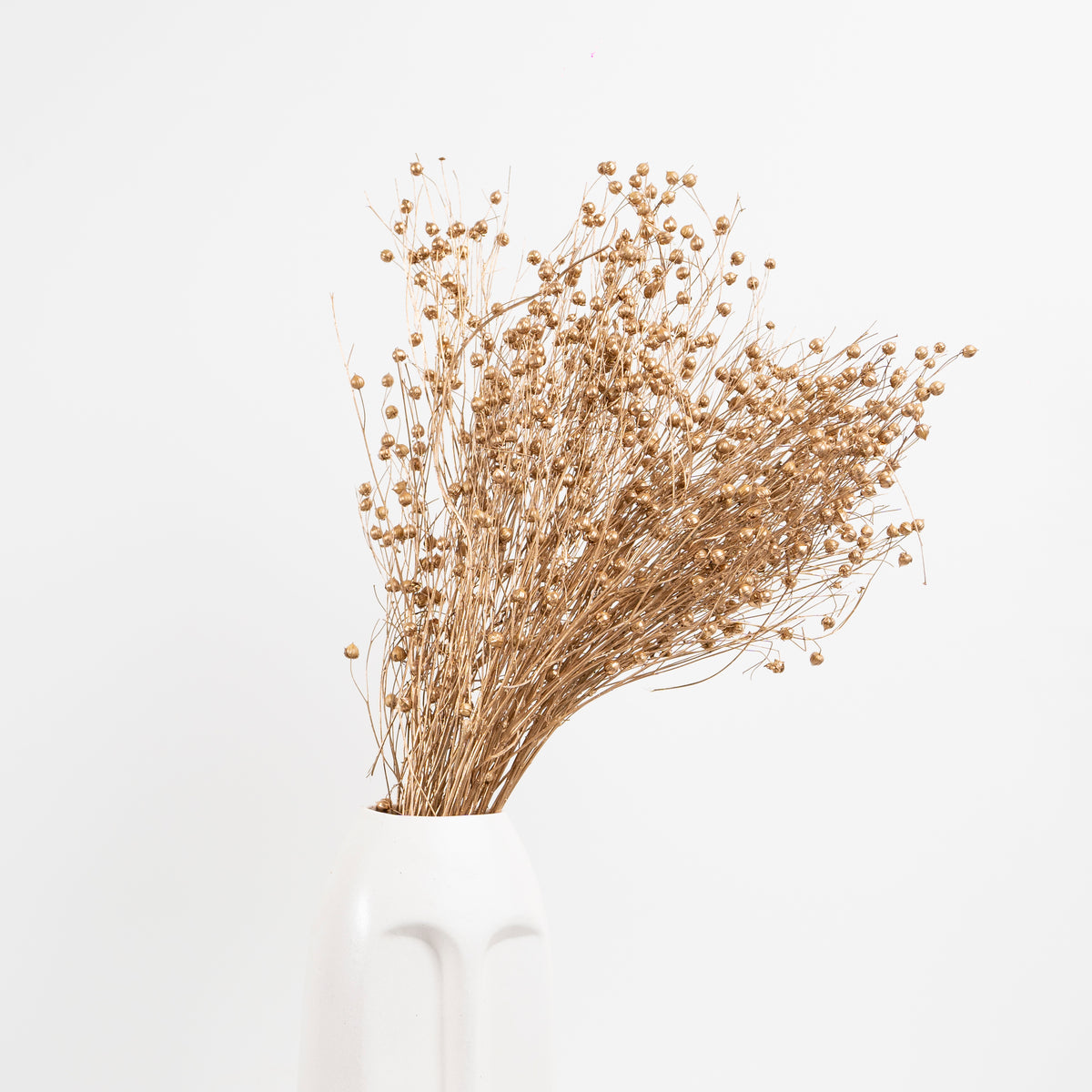 Linum Flax-Golden