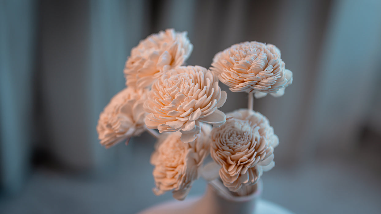 Shola Artificial Flowers Set of 6 Sticks | Decorative Dried Flowers
