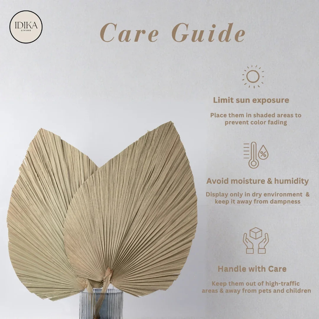 Jumbo Spear Palm | Natural