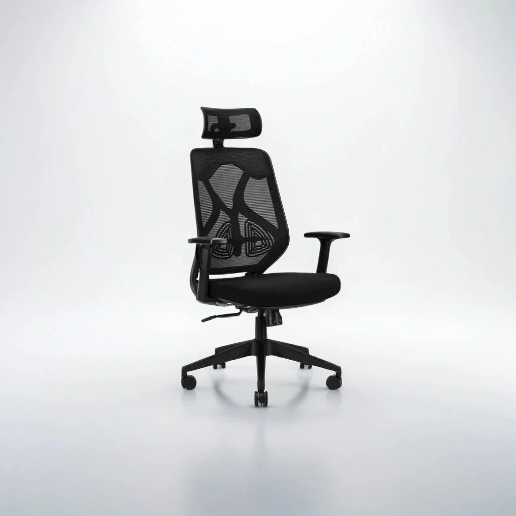 Black Ergolux High Back Ergonomic Office Chair | Adjustable Lumbar Support & Headrest