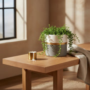 Ceramic Marble Planter