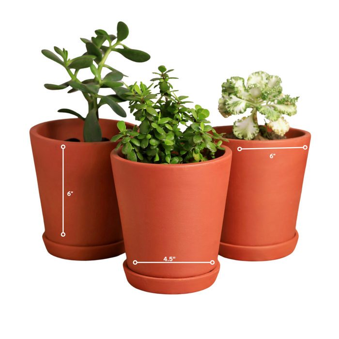 Cone Planter