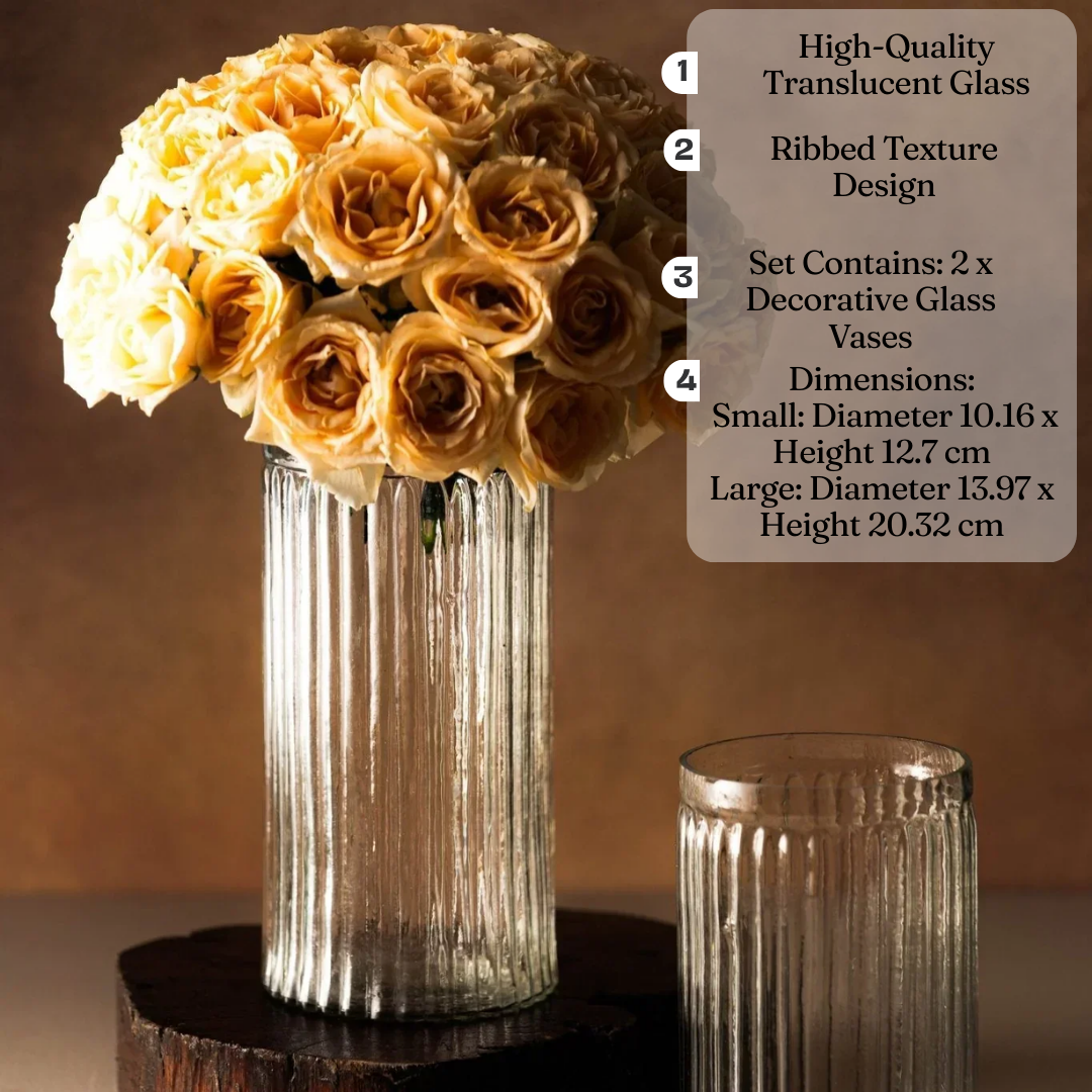 Glass Vase Set of 2 | Translucent Decorative Flower Vases for Living Room | Flower Pot