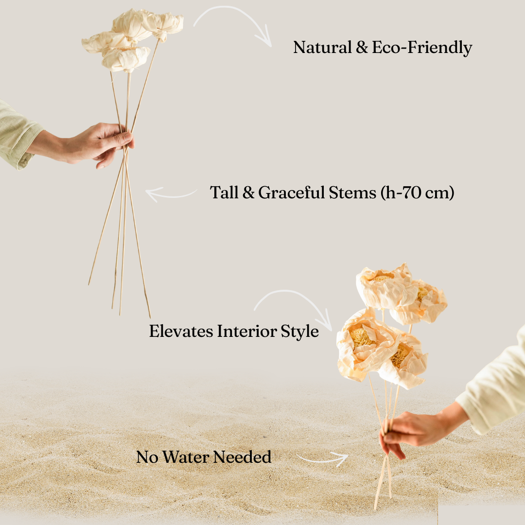 White Dried Flower Stems (Set of 5) |  Natural Dried Flowers for Living Room & Table Styling