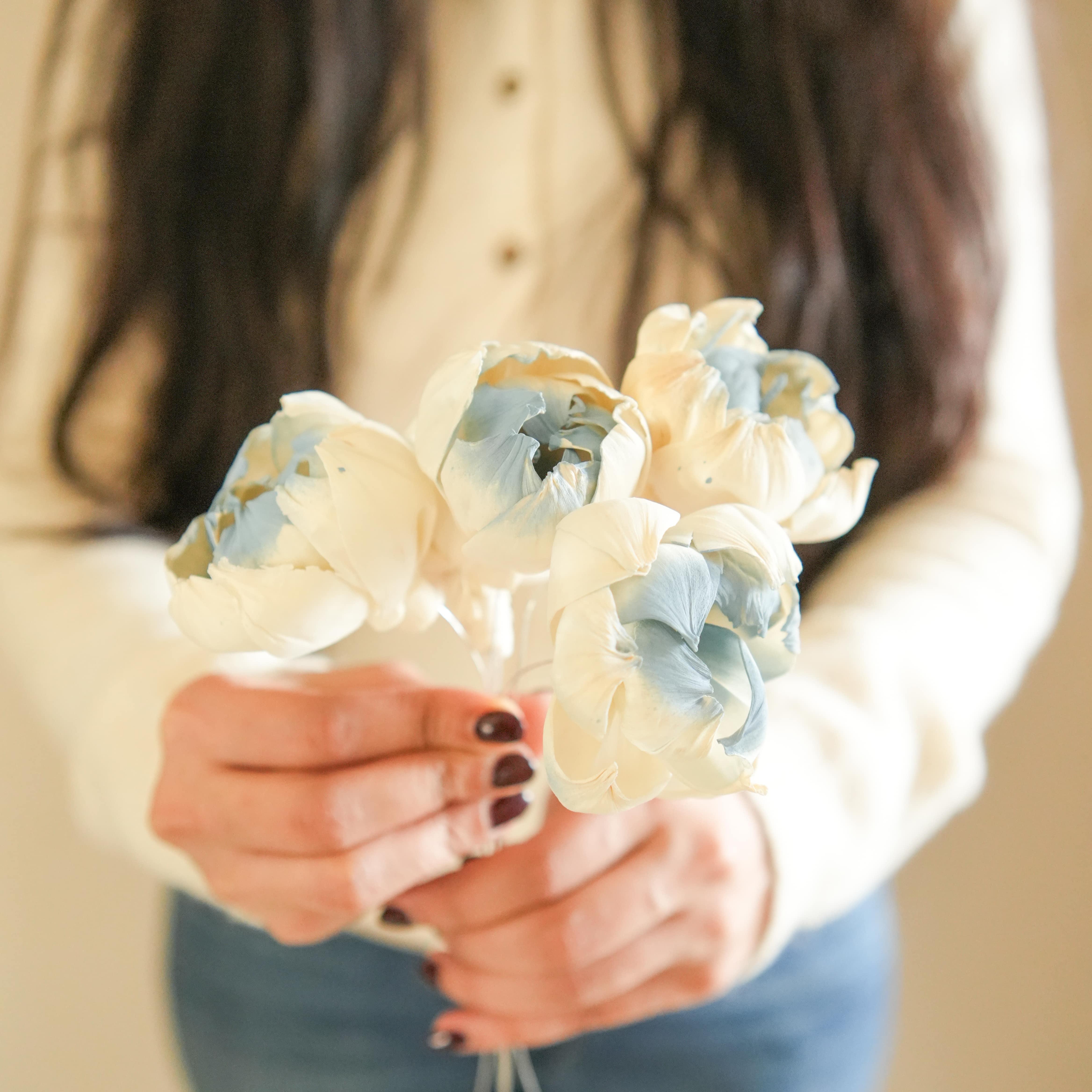 Dual Shade Sola Peony