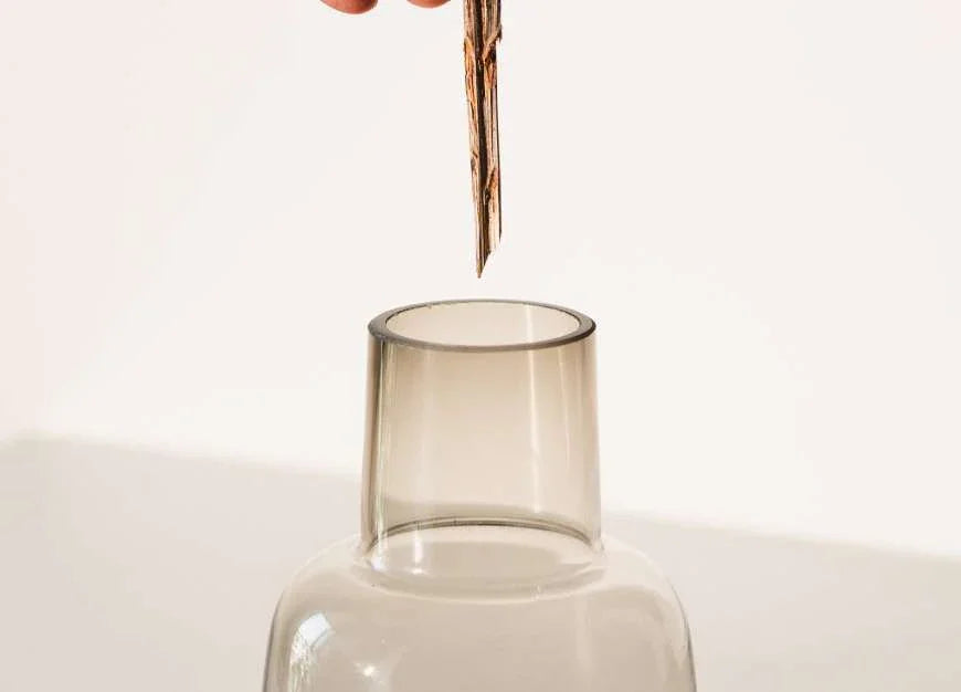 Pitcher Glass Vase | Transparent Flower Vase for Living Room | Modern Flower Pot for Home Decor & Centerpiece