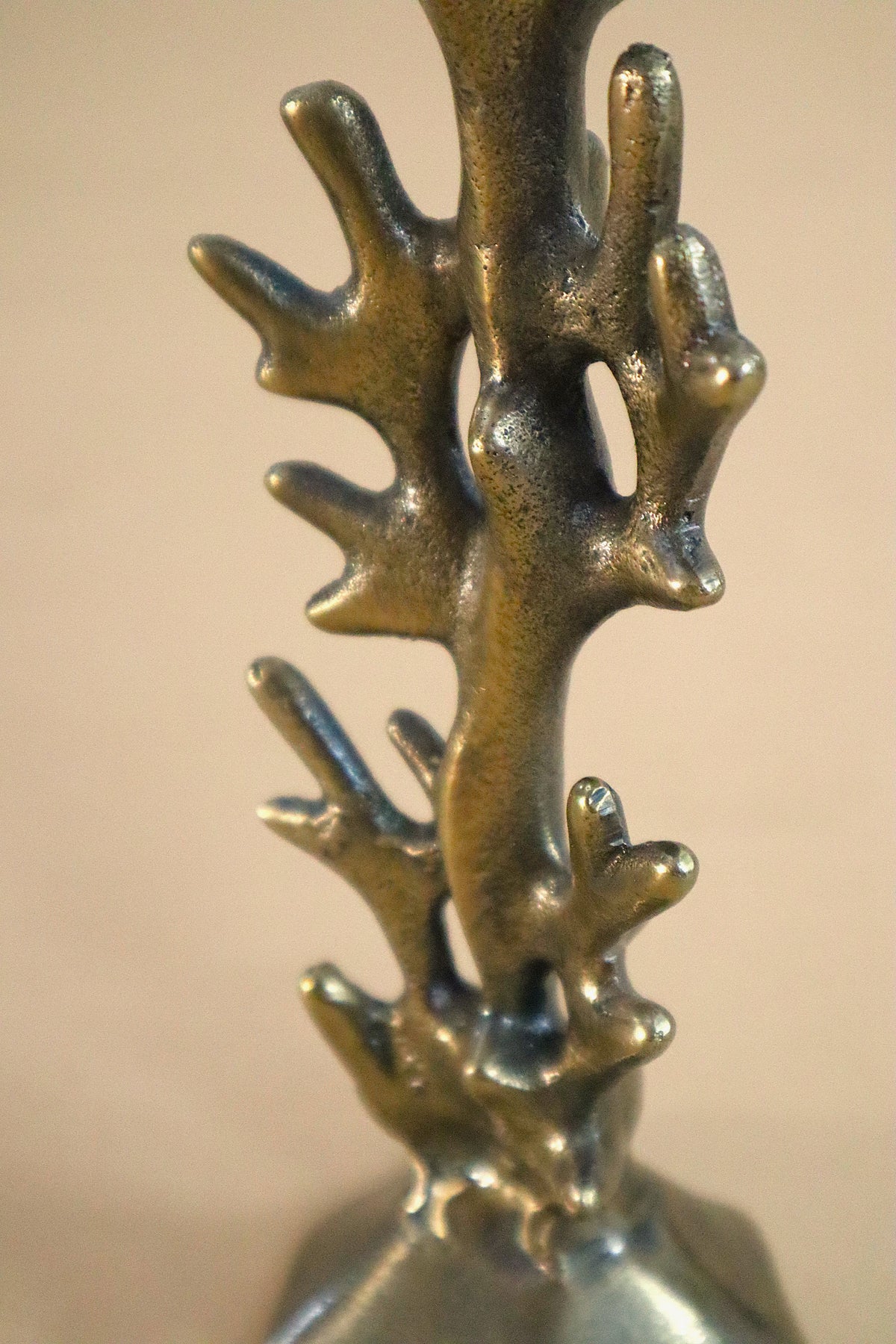 Coral Candle Holder