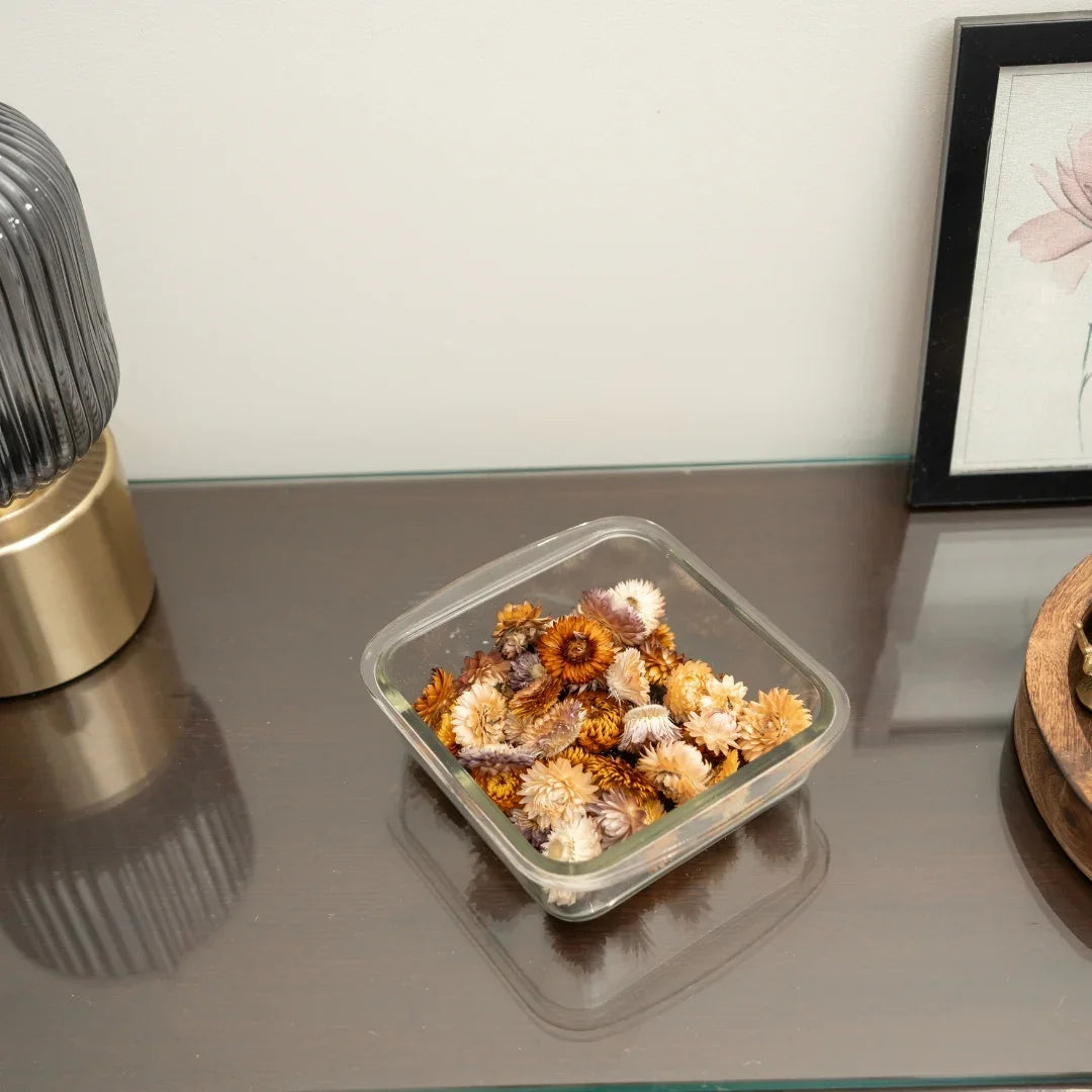 Straw Flowers | Multicolor