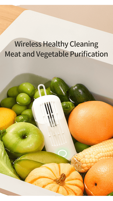 Fruits and Vegetable Cleaner | Vegetable Purifier Washing Machine