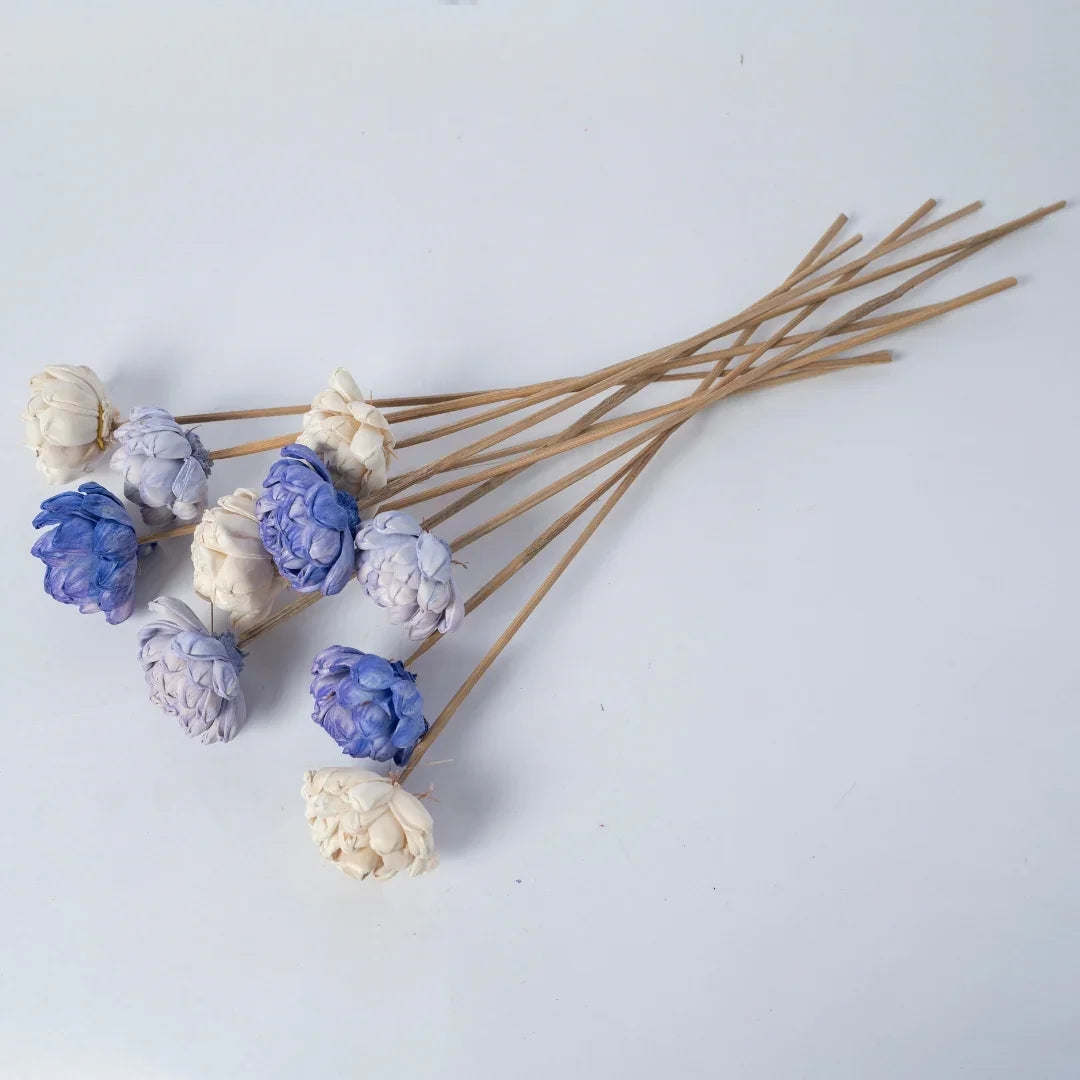 Twisted - 6 cm | Lavender, Purple and White