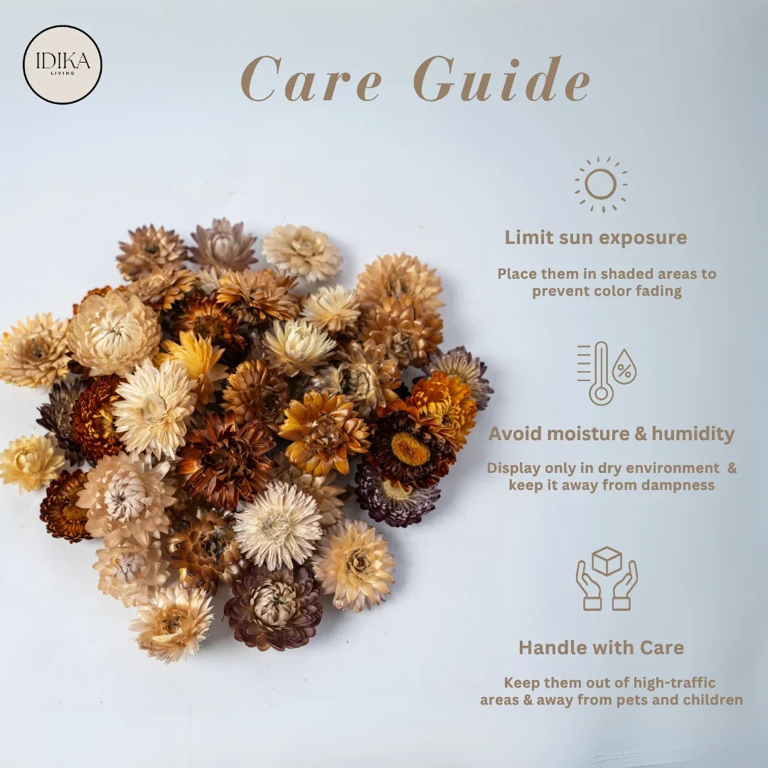 Straw Flowers | Multicolor