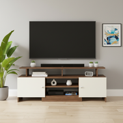 TV Unit for 55 Inch TV with Storage - Kashvi