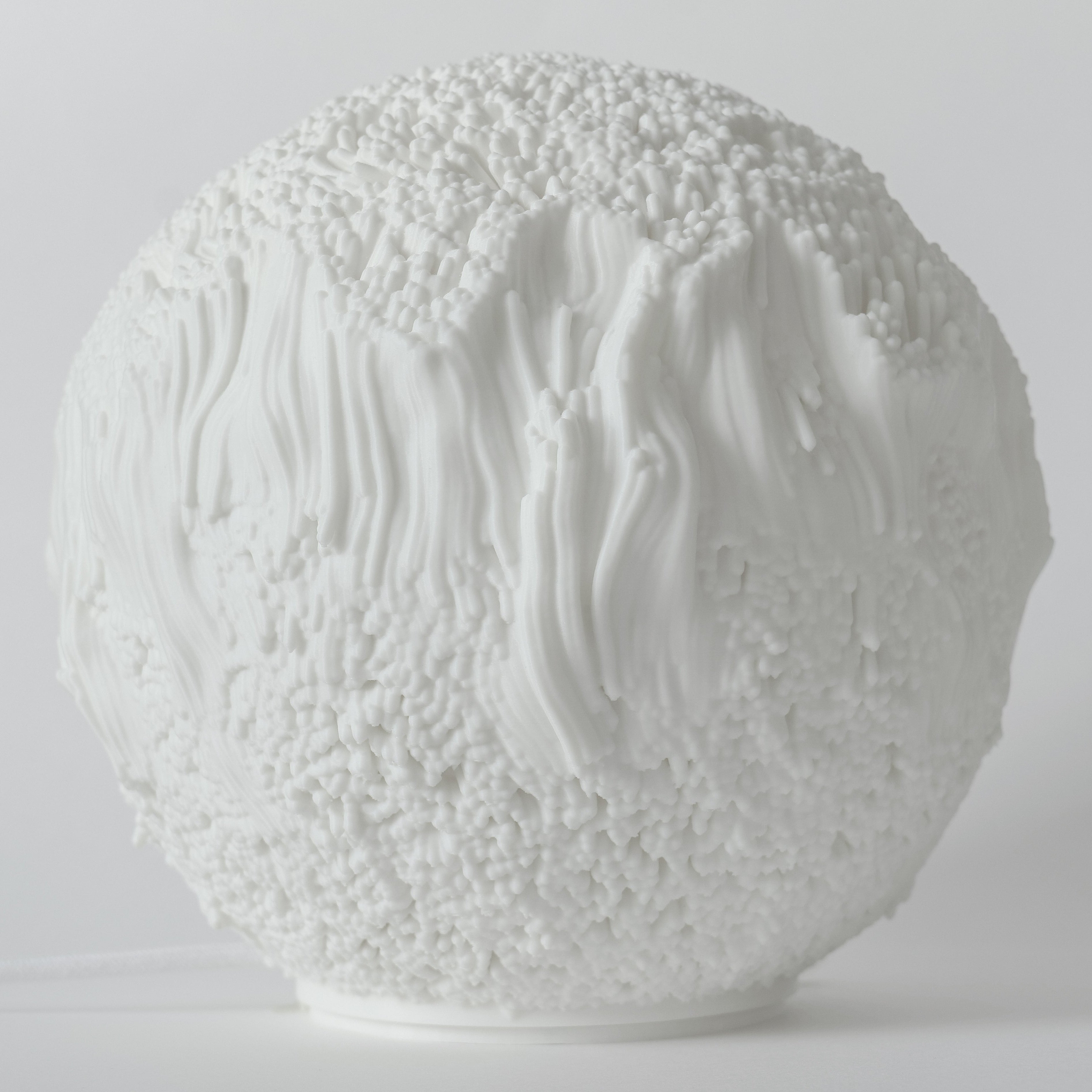 Reef Sculpted Lamp