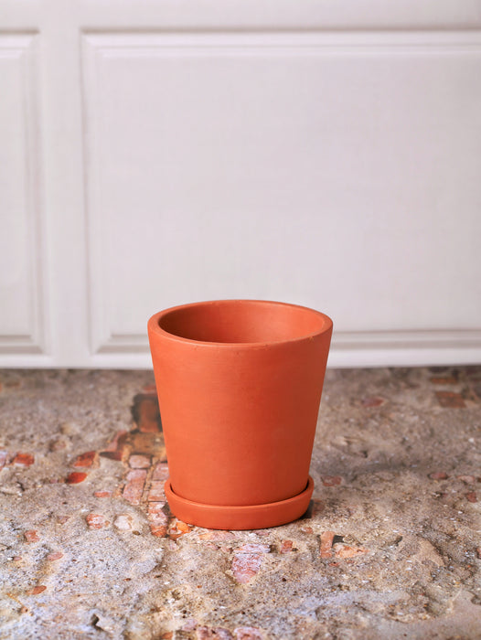 Cone Planter