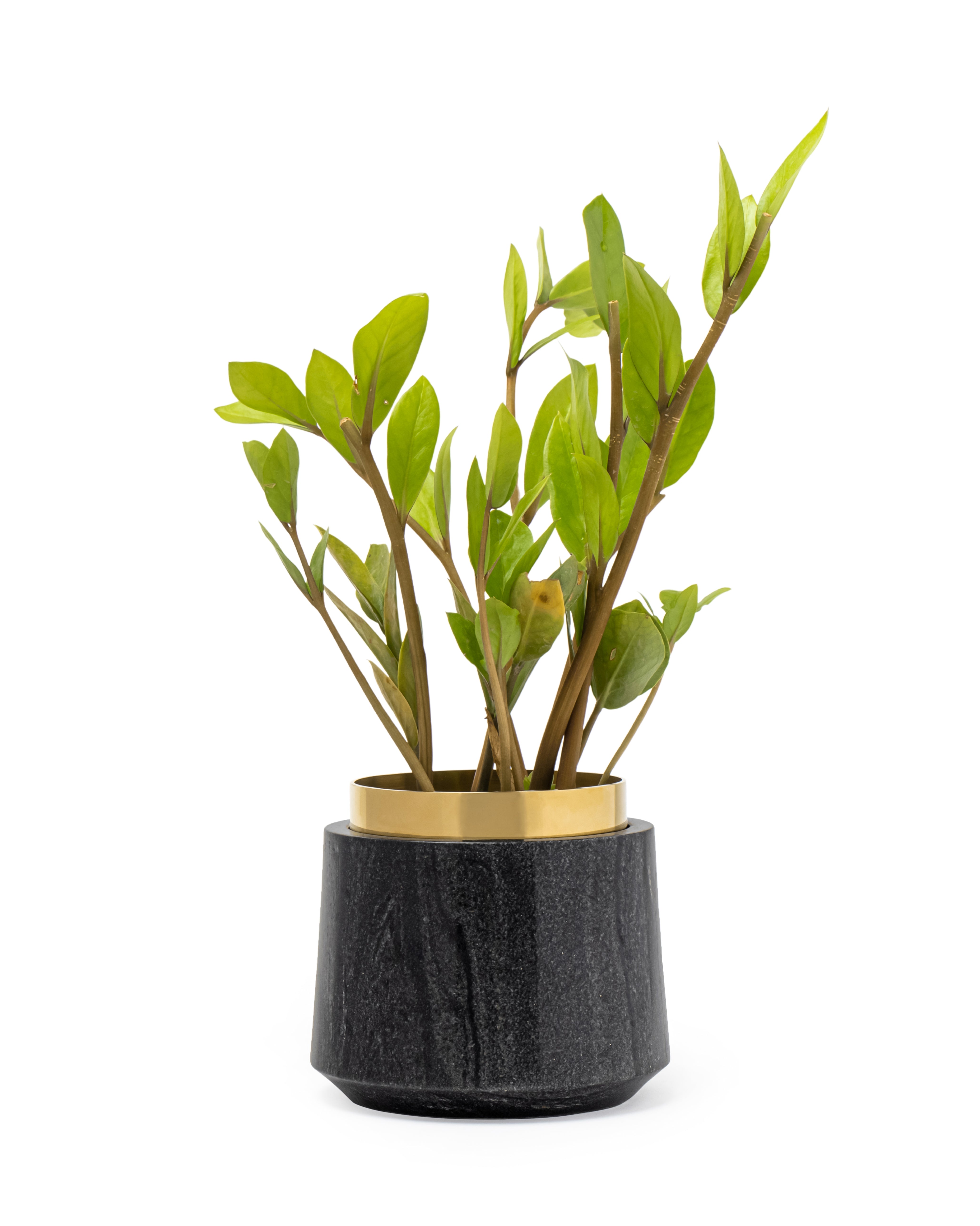 Oronoir Planter