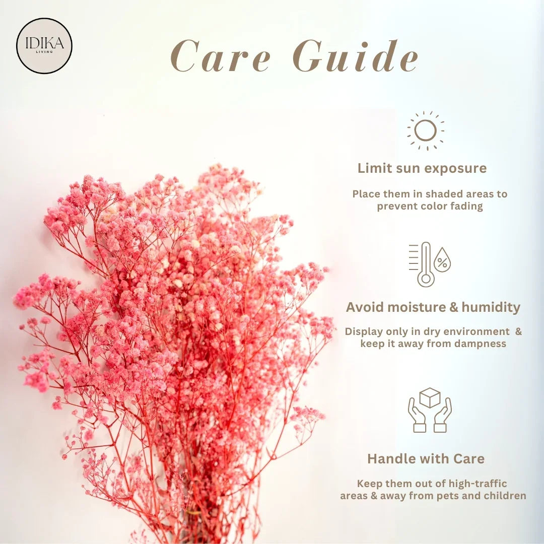 Preserved Baby's Breath