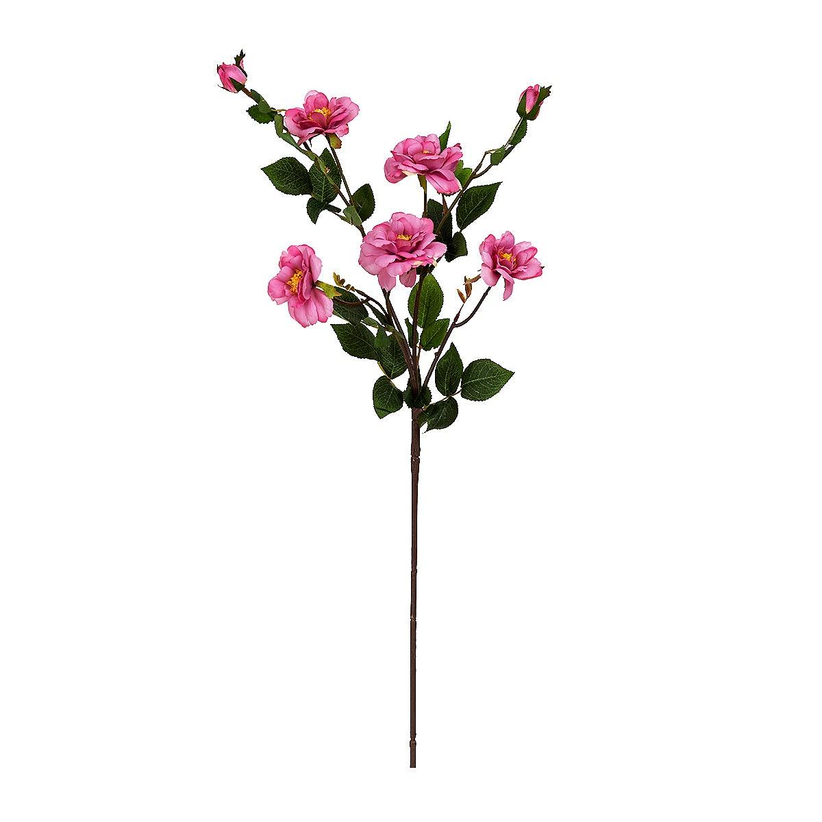 Kyauta Rose Baby Pink Flowers