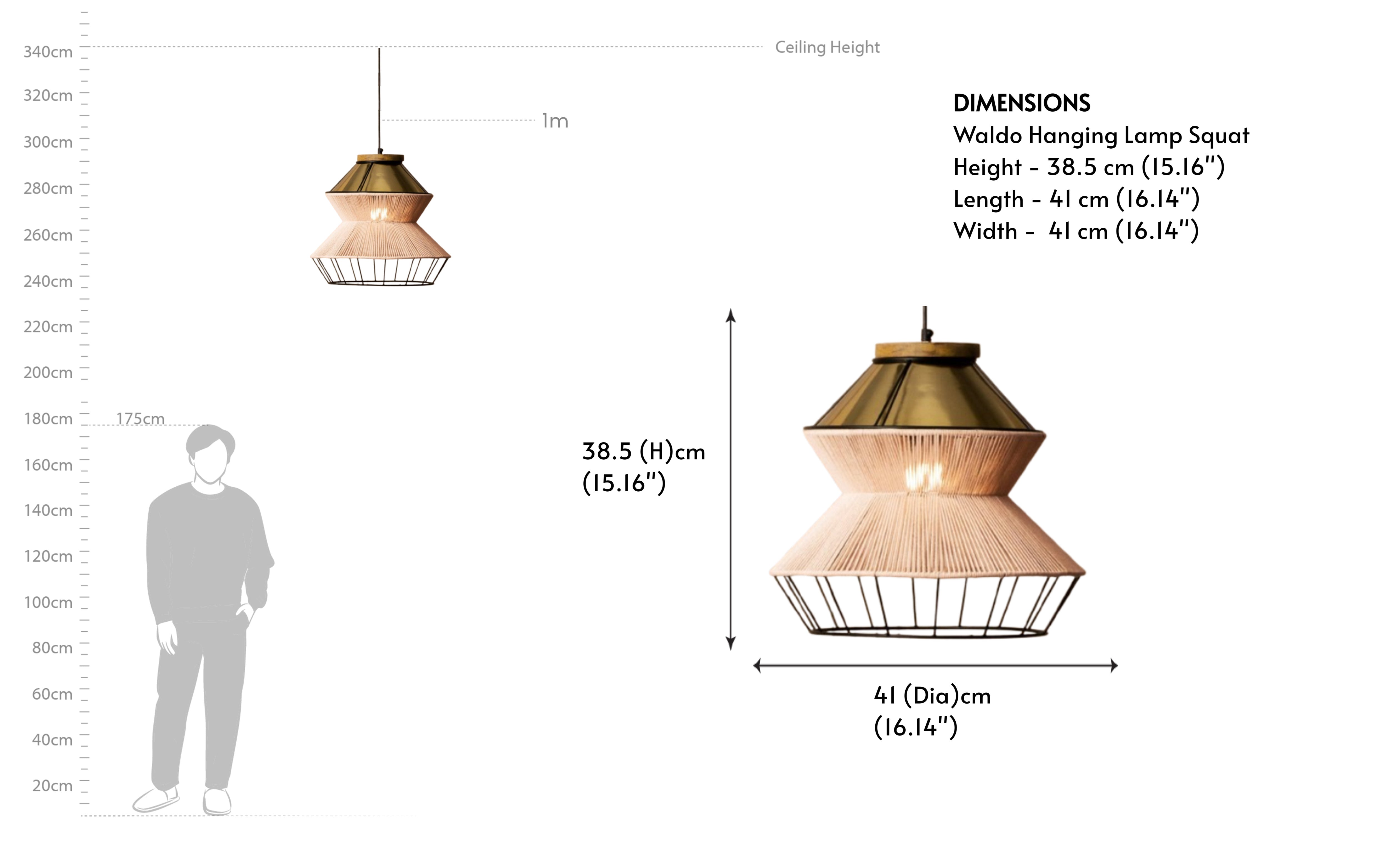 Waldo Hanging Lamp Squat