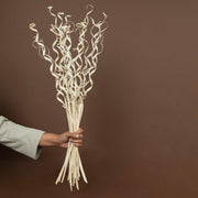 White Natural Dried Curly Palm Sticks | Set of 25 Dry Sticks Bunch for Vase Filler Home Decor