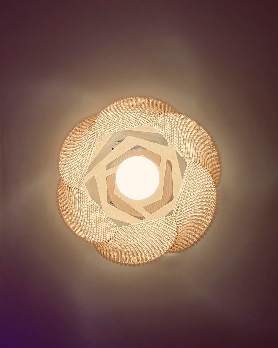 Sofia Wall Lamp