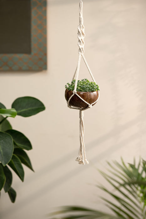 Coconut Shell Macrame Plant Hanger