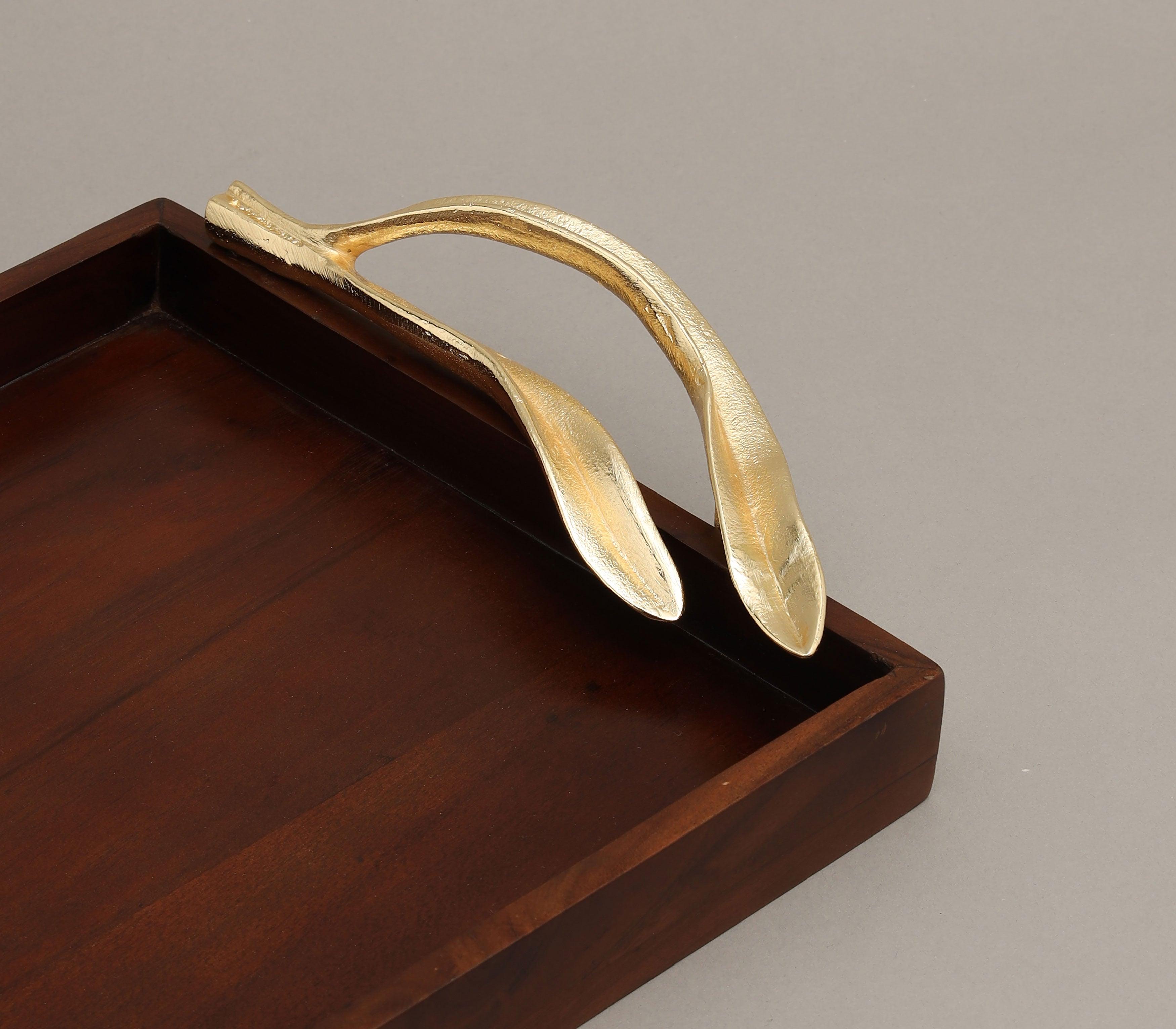 Wooden polished Tray