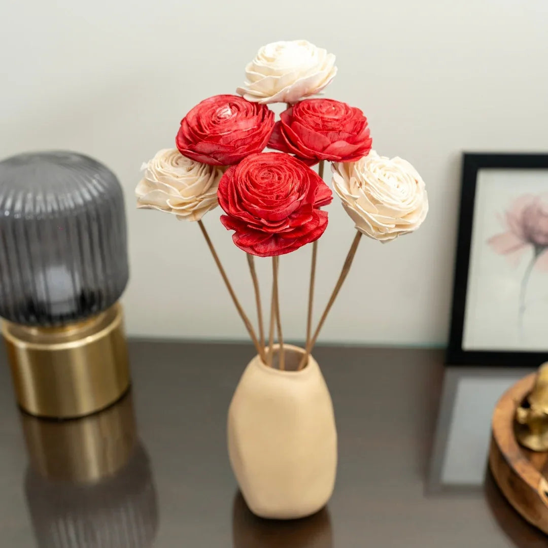 Beauty Rose - 8 cm | Red and White