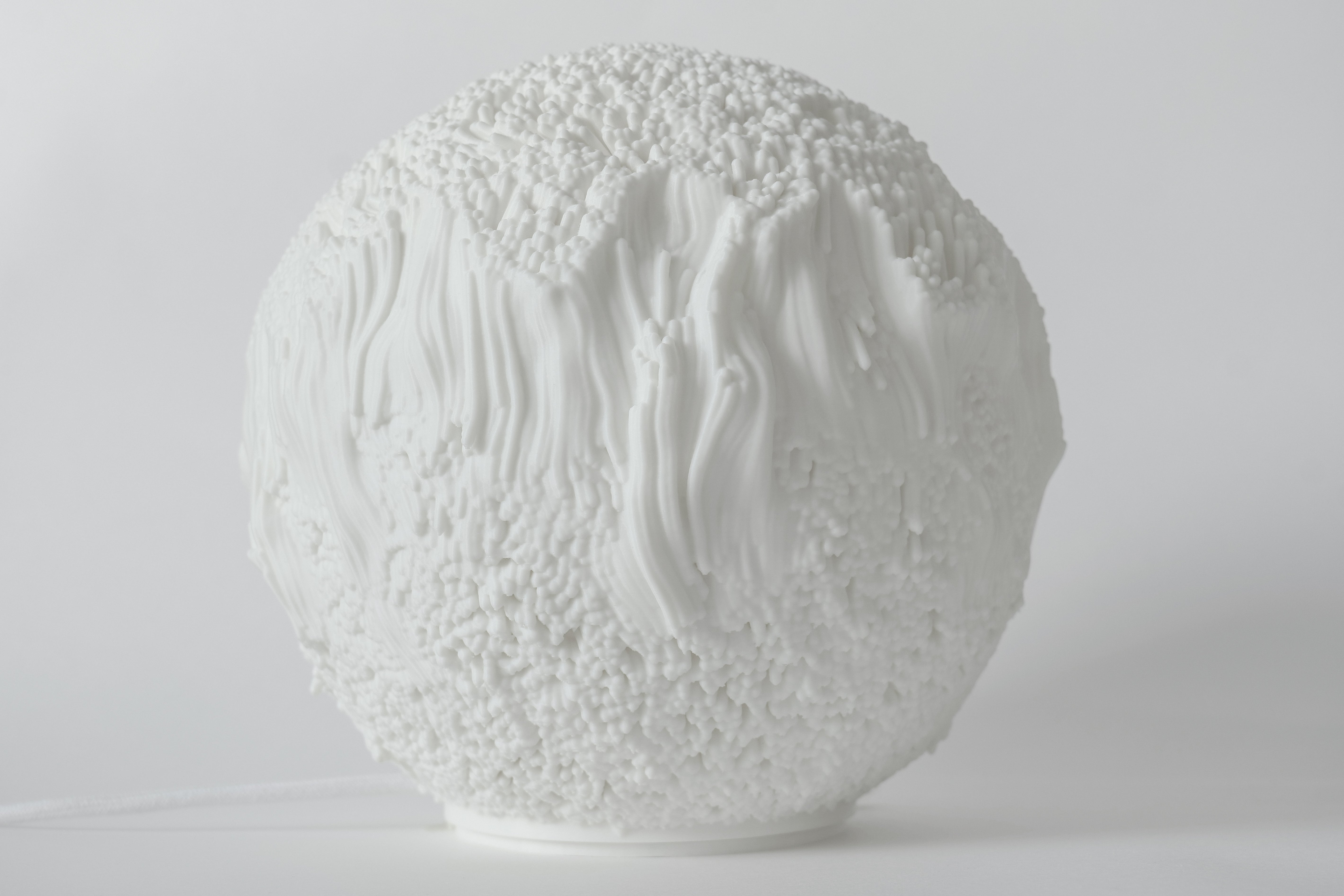 Reef Sculpted Lamp