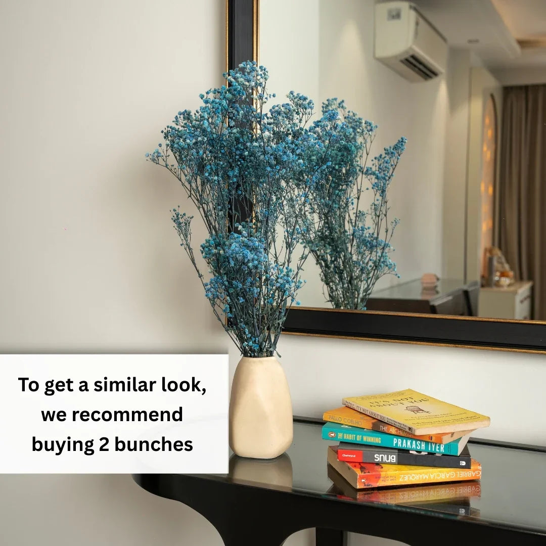 Preserved Baby's Breath